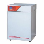 隔水式电热恒温培养箱BG-50