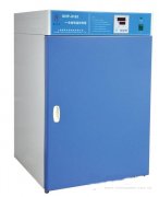 DHP-9012电热恒温培养箱